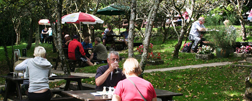 Camel Trail Tea Garden